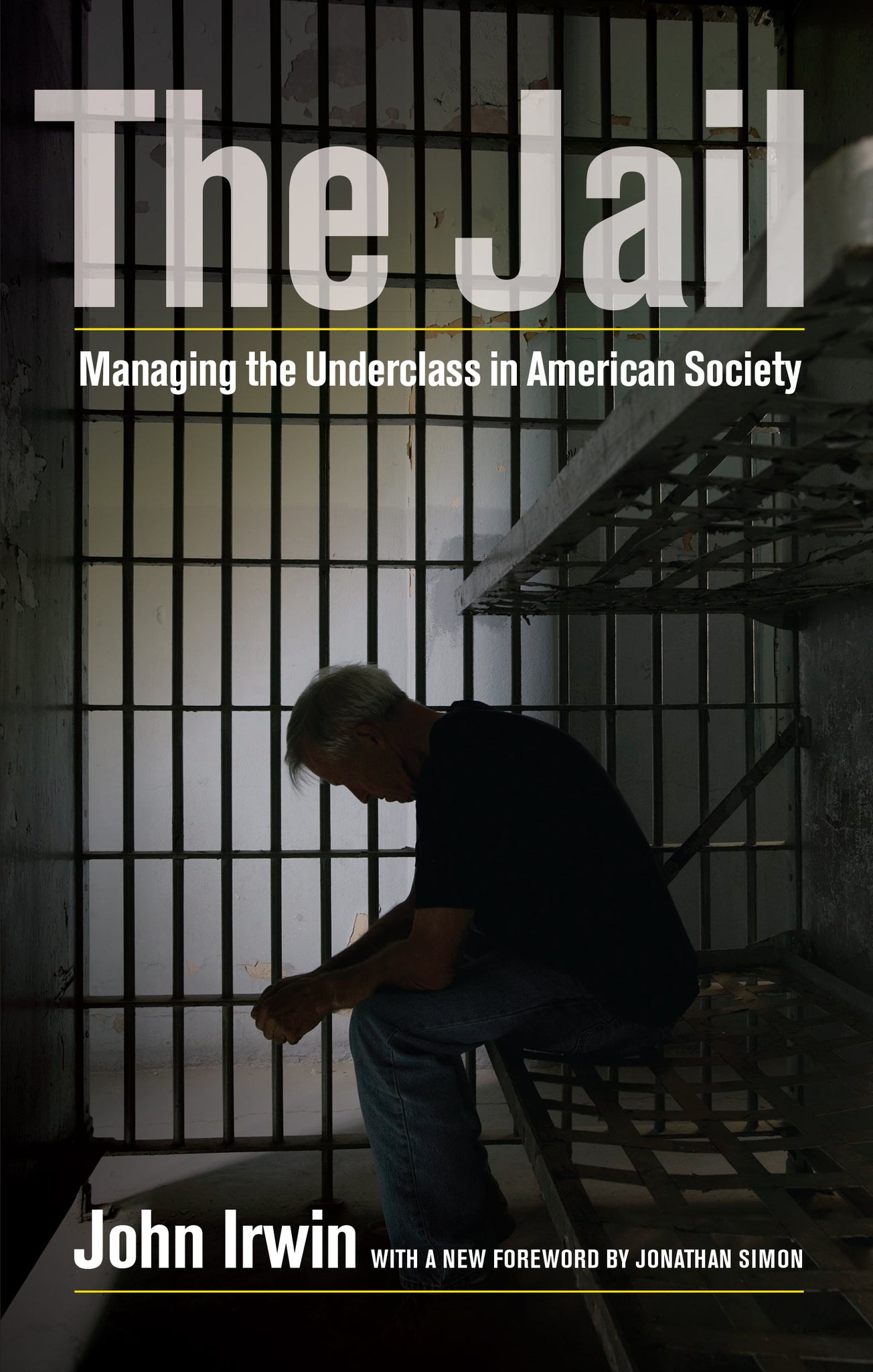 Cover image for The Jail ISBN 9780520957459